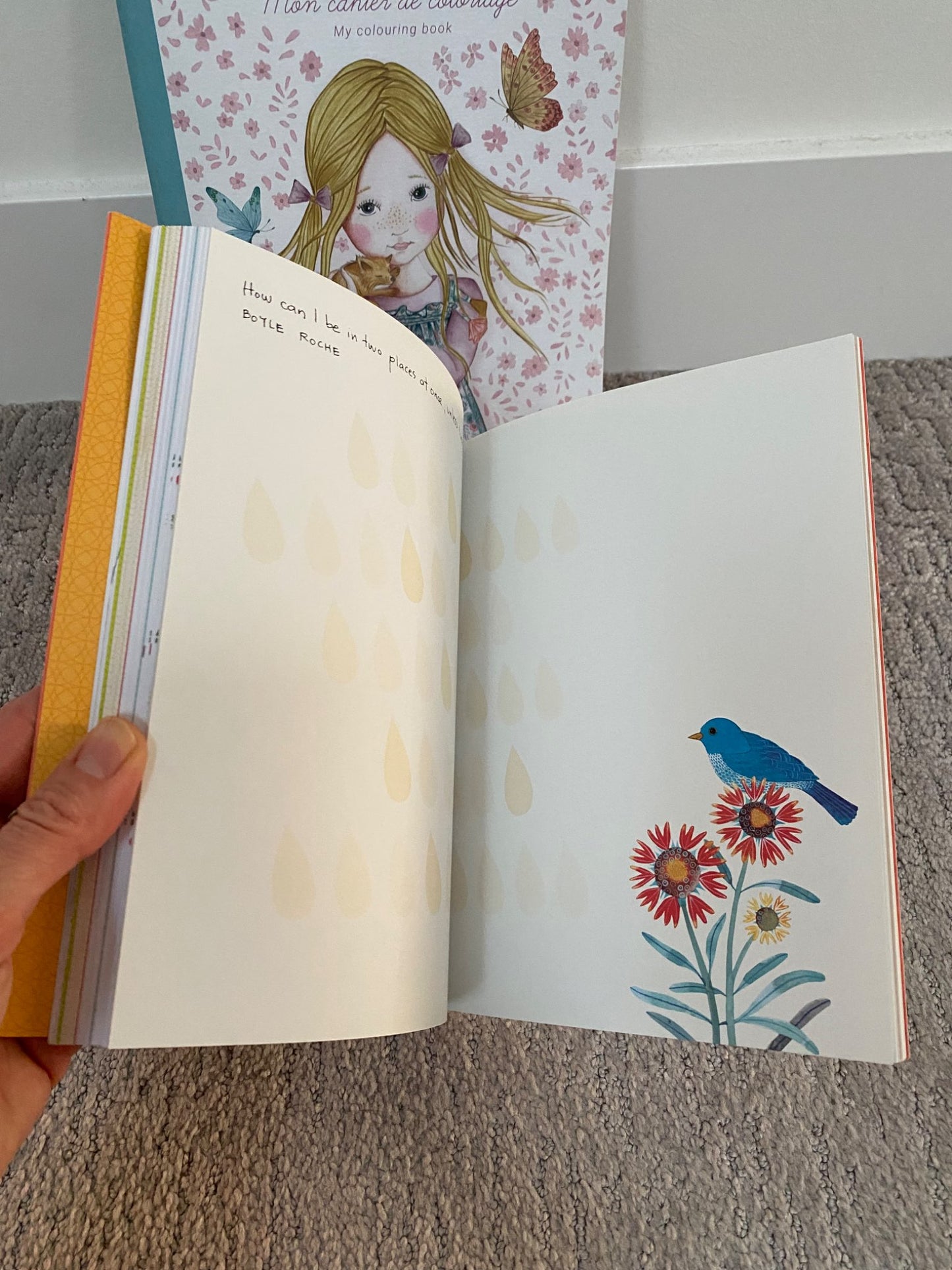 Brand new activity books & paints