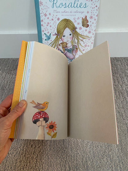 Brand new activity books & paints