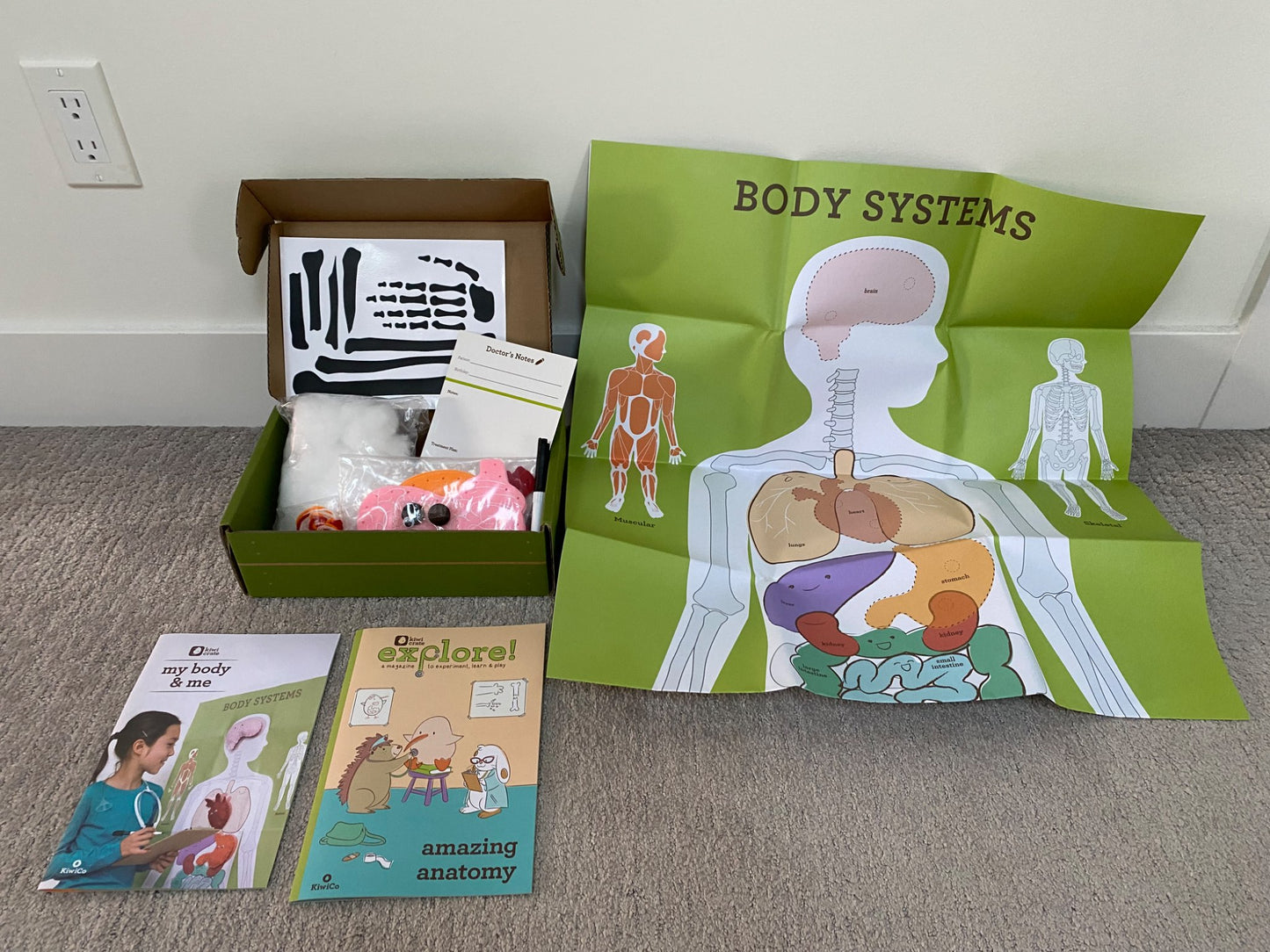Human body book & Kiwi Crate