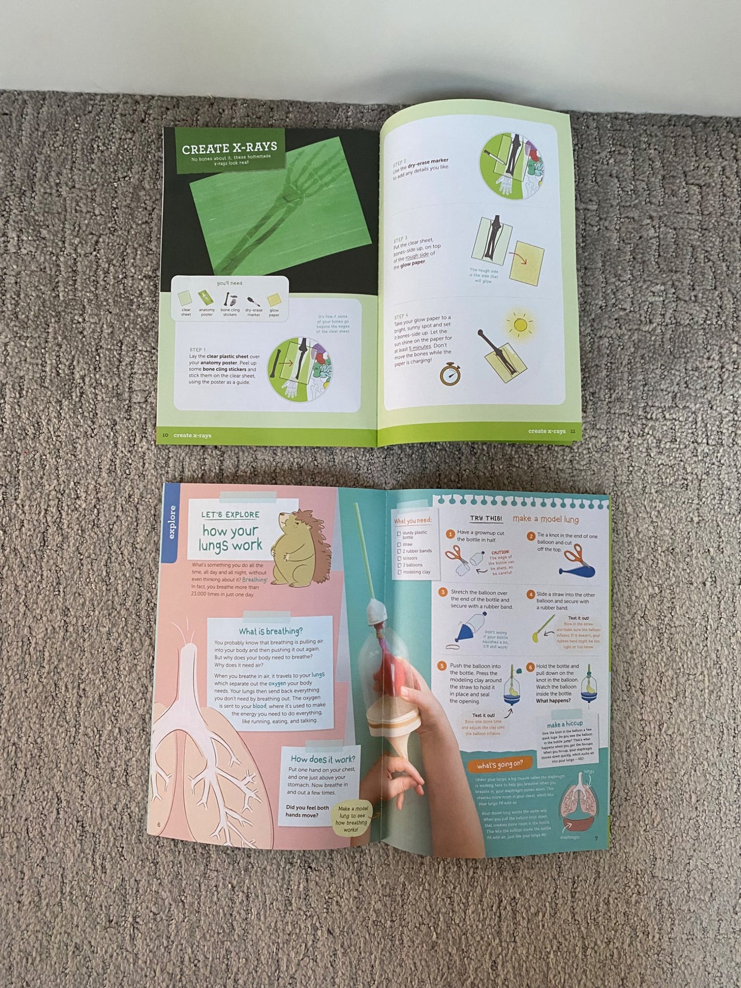 Human body book & Kiwi Crate