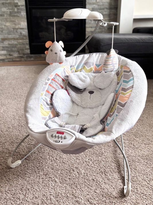 Fisher-Price Sweet Snugapuppy Dreams bouncer - Retails $89