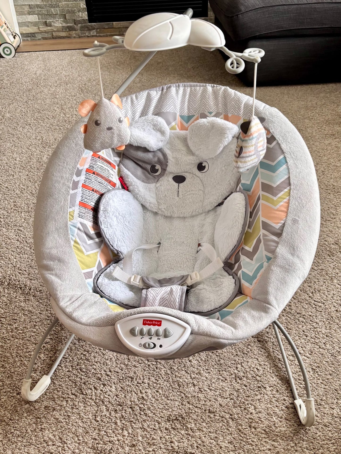 Fisher-Price Sweet Snugapuppy Dreams bouncer - Retails $89