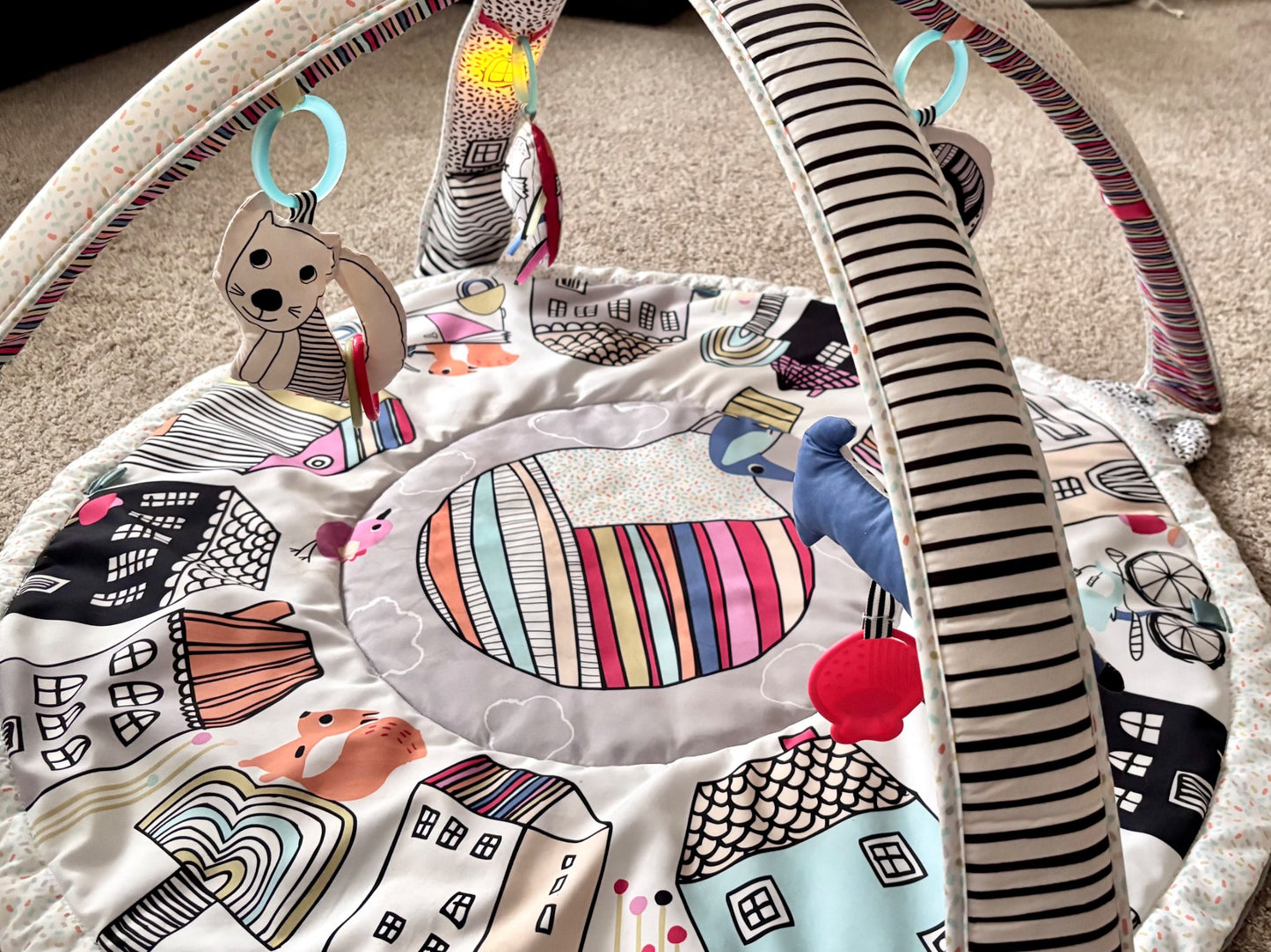 Skip Hop Activity Gym/Play mat - Retails $135