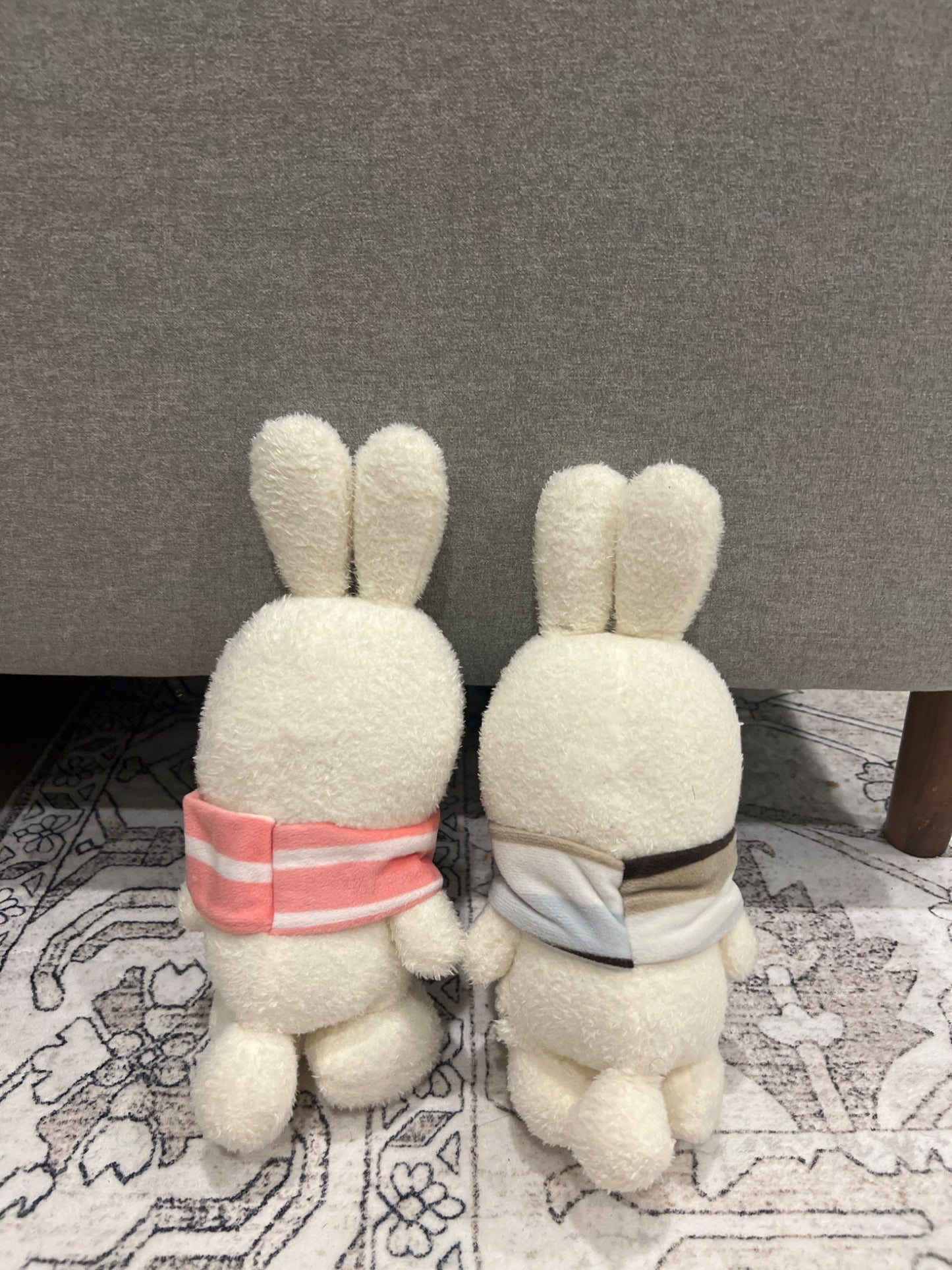 Cute bunny plushie set