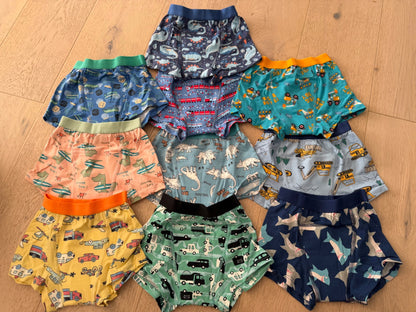 Potty training underwear (x10)