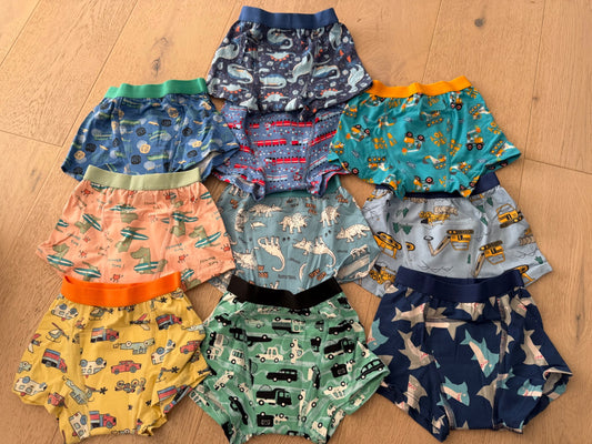 Potty training underwear (x10)