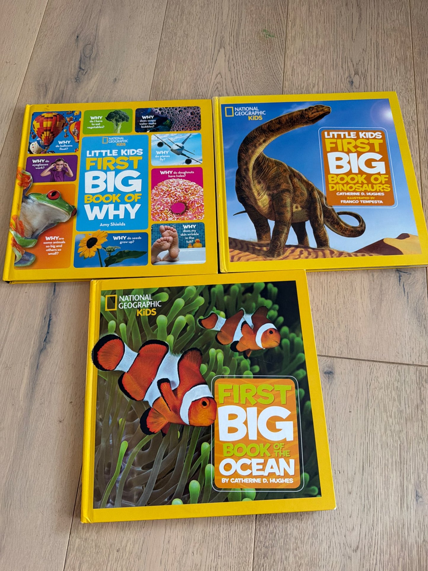 National Geographic Kids First Big Book of bundle (x3)