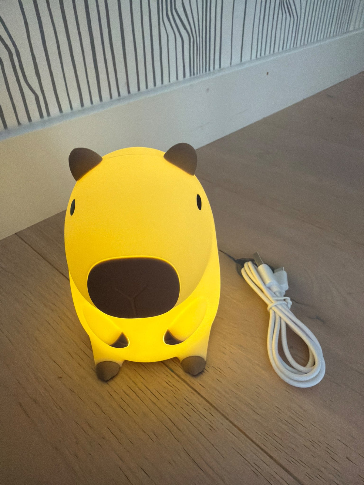 Squishy capybara light