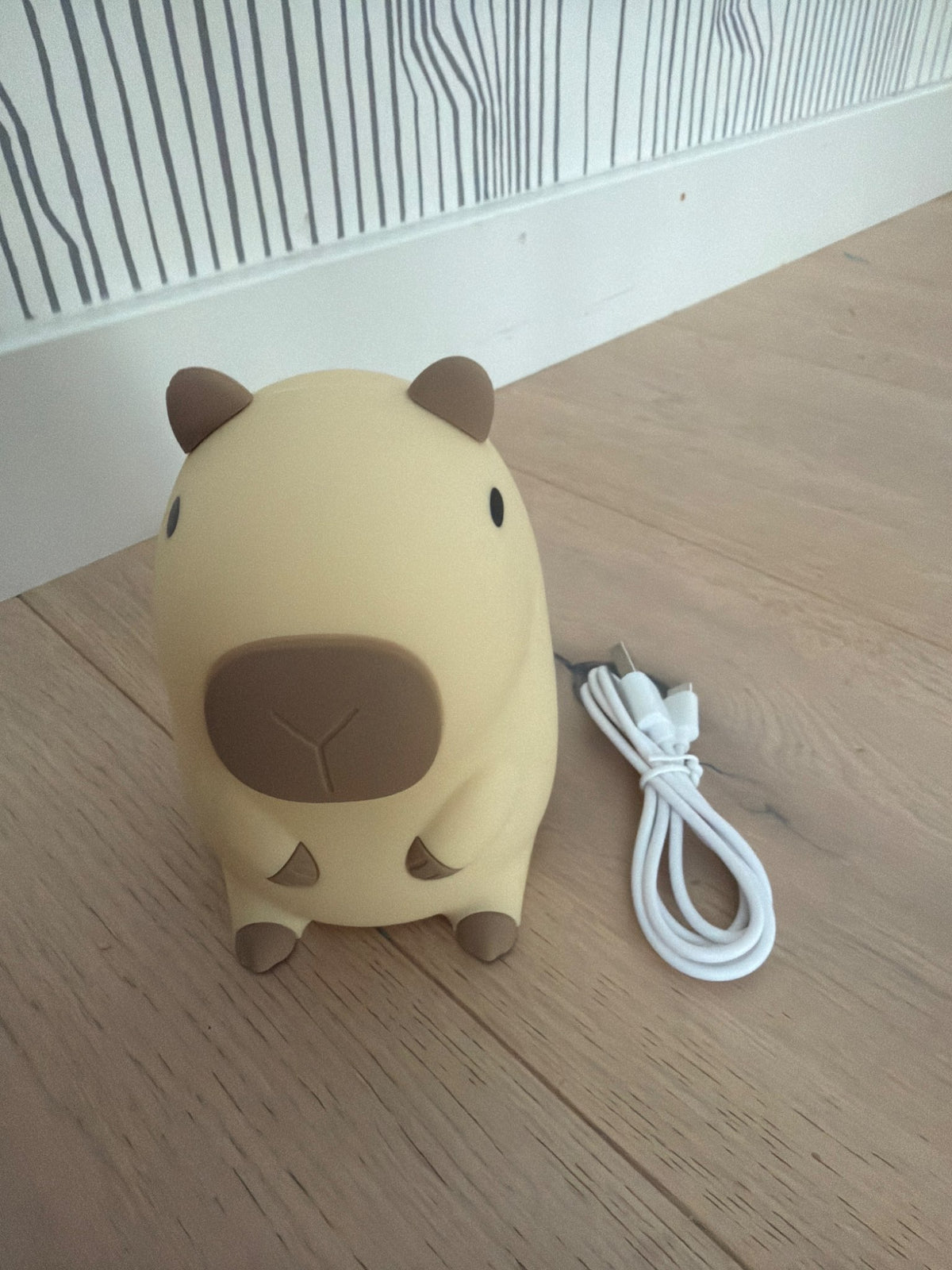 Squishy capybara light