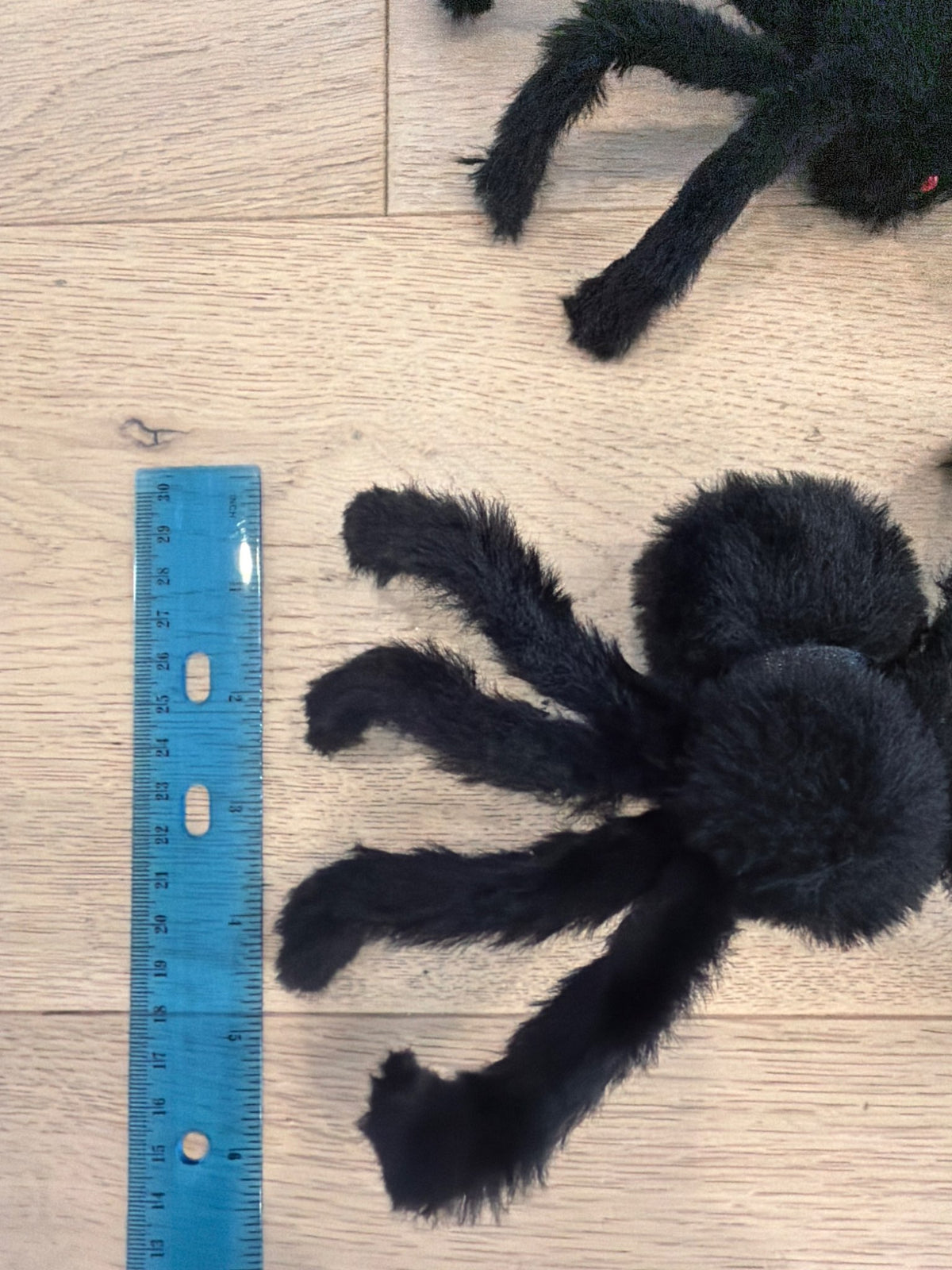 Furry spiders decoration.