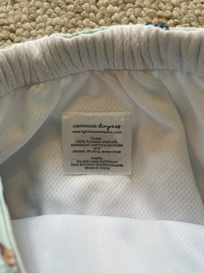 Cloth Diaper x2