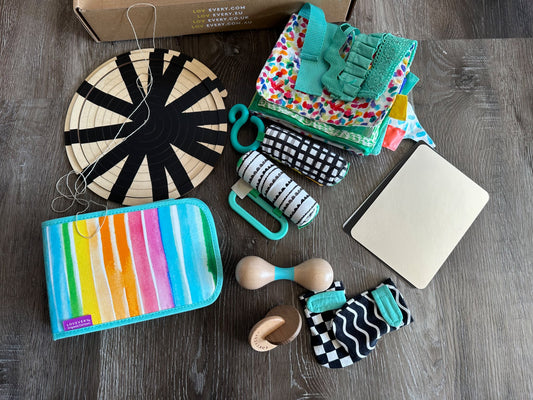 Lovevery The looker/The Charmer play kit items