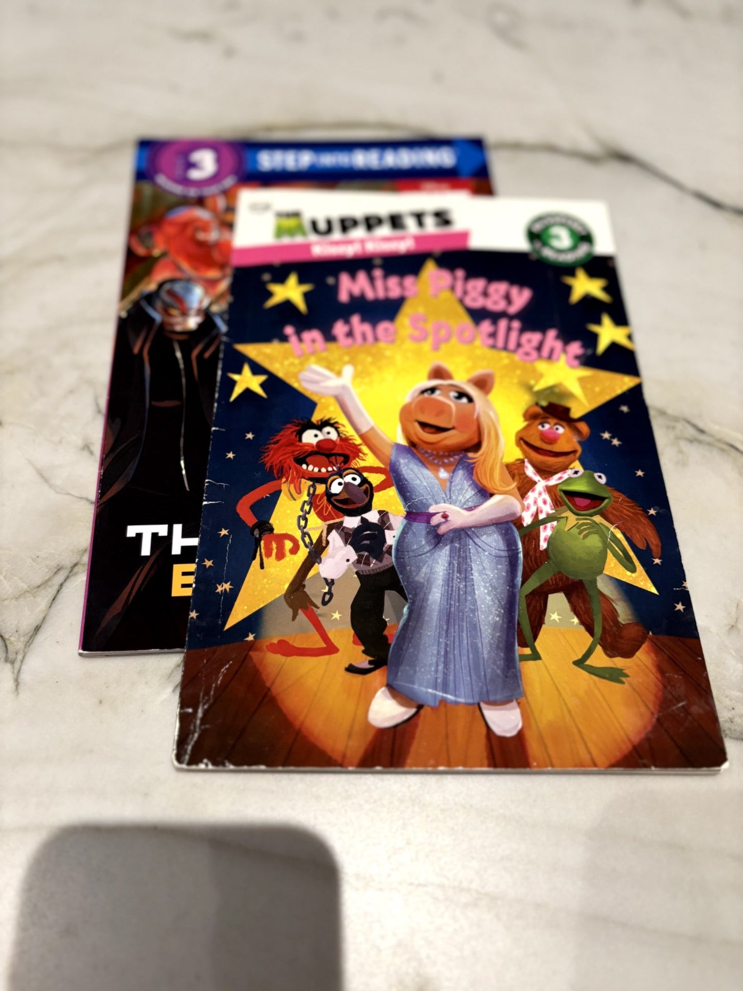 GUC Bundle of 2 - Passport to Reading level 3