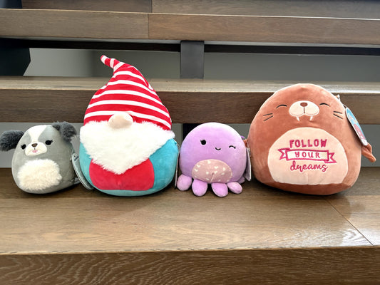 Bundle of 4 NWT Squishmallows Stuffies