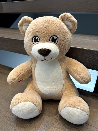Build A Bear Stuffie with Accessories