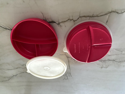 Tupperware Brand Food Container - Set of 2