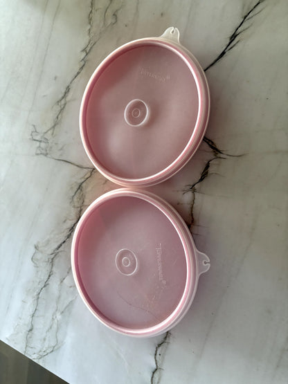 Tupperware Brand Food Container - Set of 2