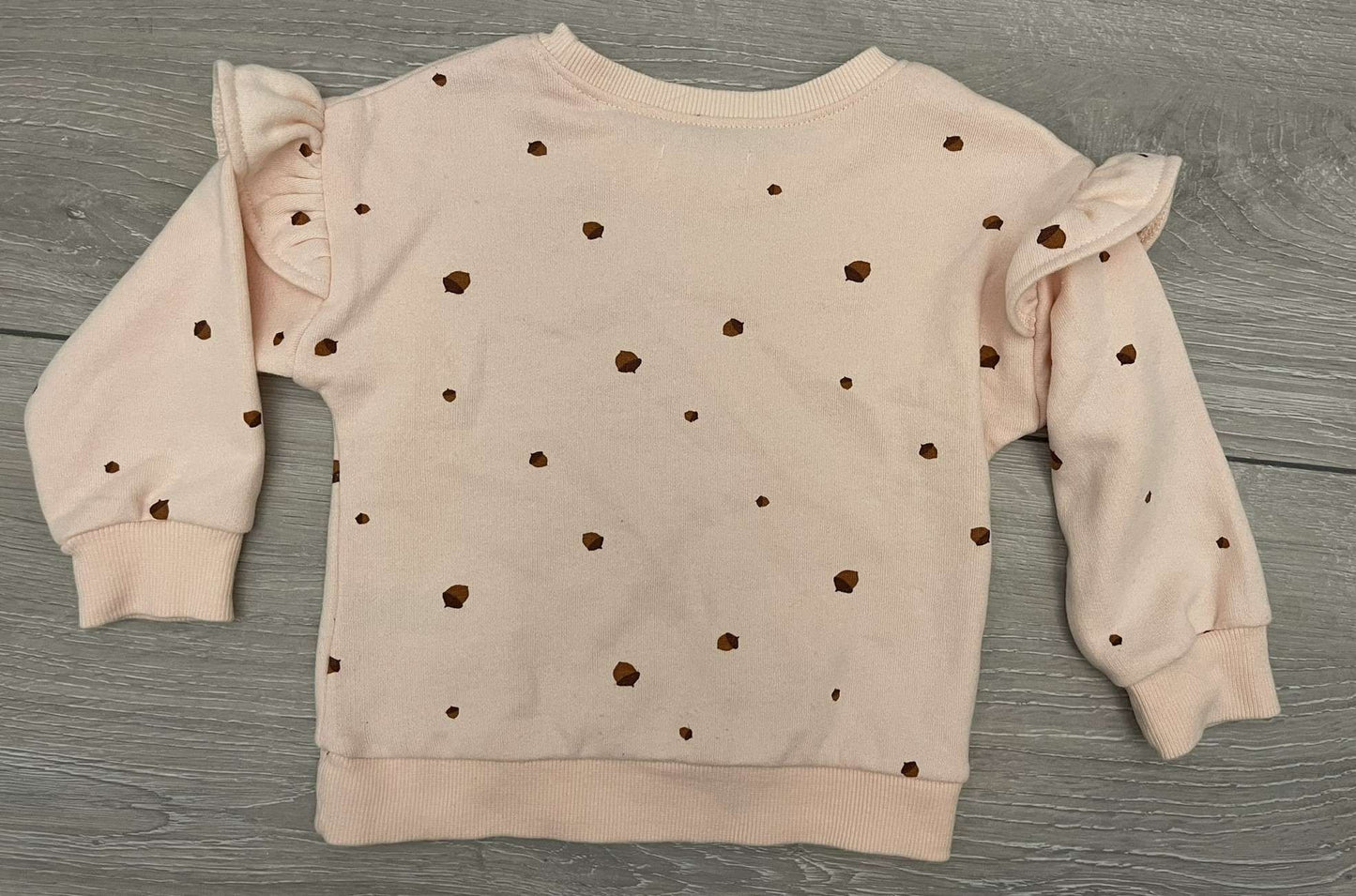 Two Rise Little Earthlings Sweat Suit Sets, Kids 18 Month (12-18M)