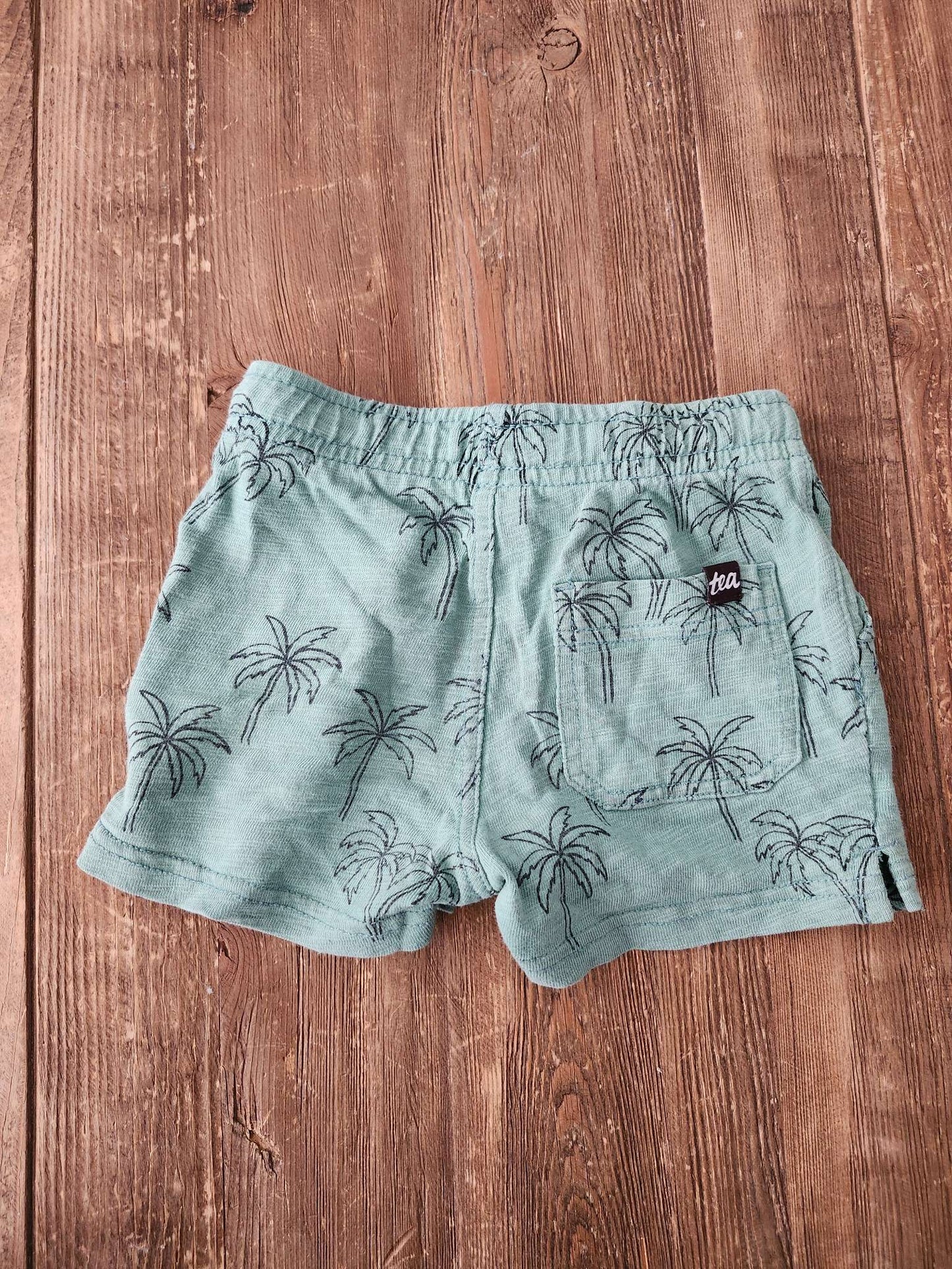 Tea, palm tree shorts, green, 18-24 months, EUC, Kids 24 Month (18-24M)