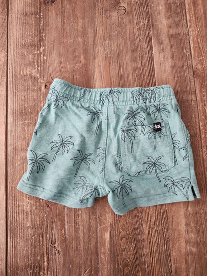 Tea, palm tree shorts, green, 18-24 months, EUC, Kids 24 Month (18-24M)