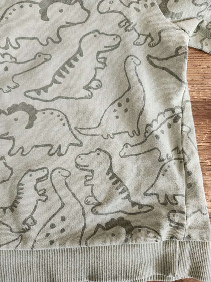 H&M green dino sweater, 3T, VGUC, Kids 3T