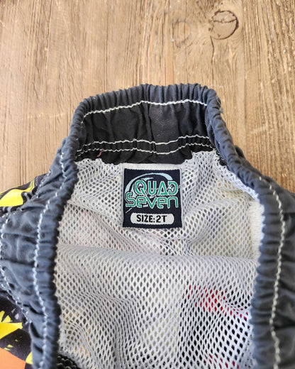 Swim shorts, 2T, EUC, Kids 2T