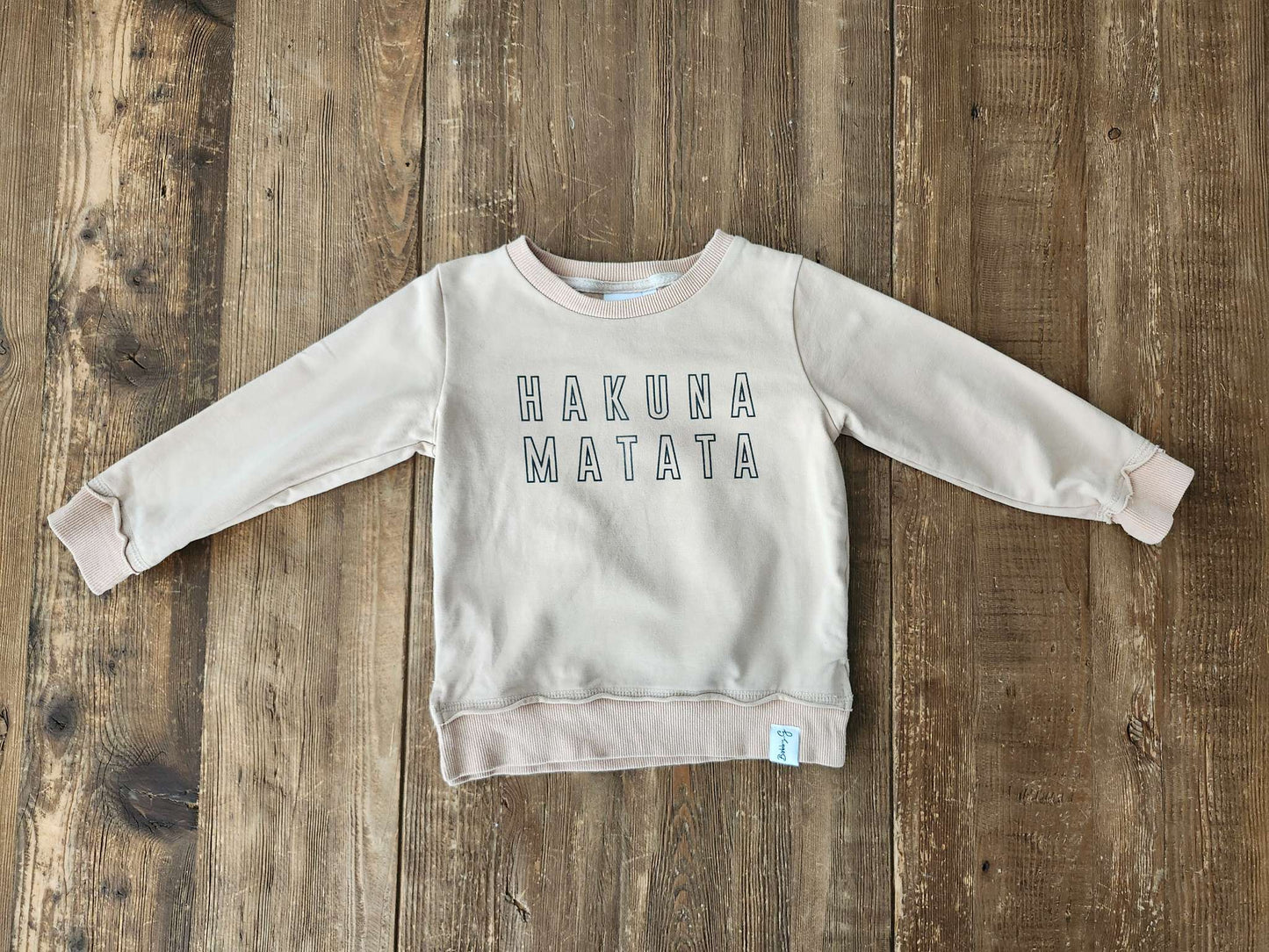 Bobby G Hakuna Matata shirt, 18-24M, VGUC, Kids 24 Month (18-24M)