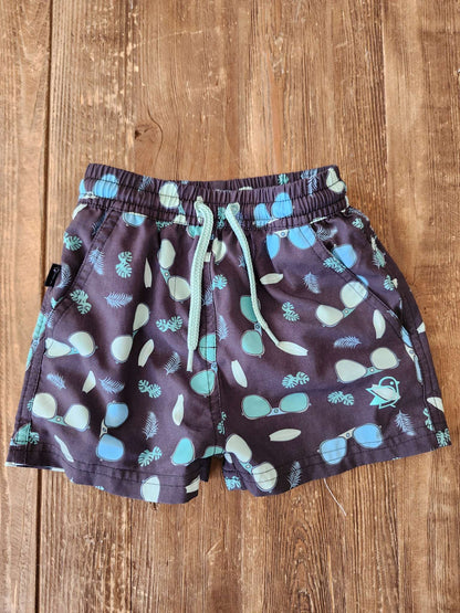 Birdz swim shorts, 2T, VGUC, Kids 2T