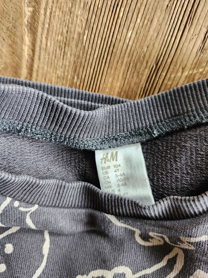 H&M grey dino shirt, 4T, EUC, Kids 4/4T