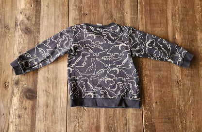 H&M grey dino shirt, 4T, EUC, Kids 4/4T