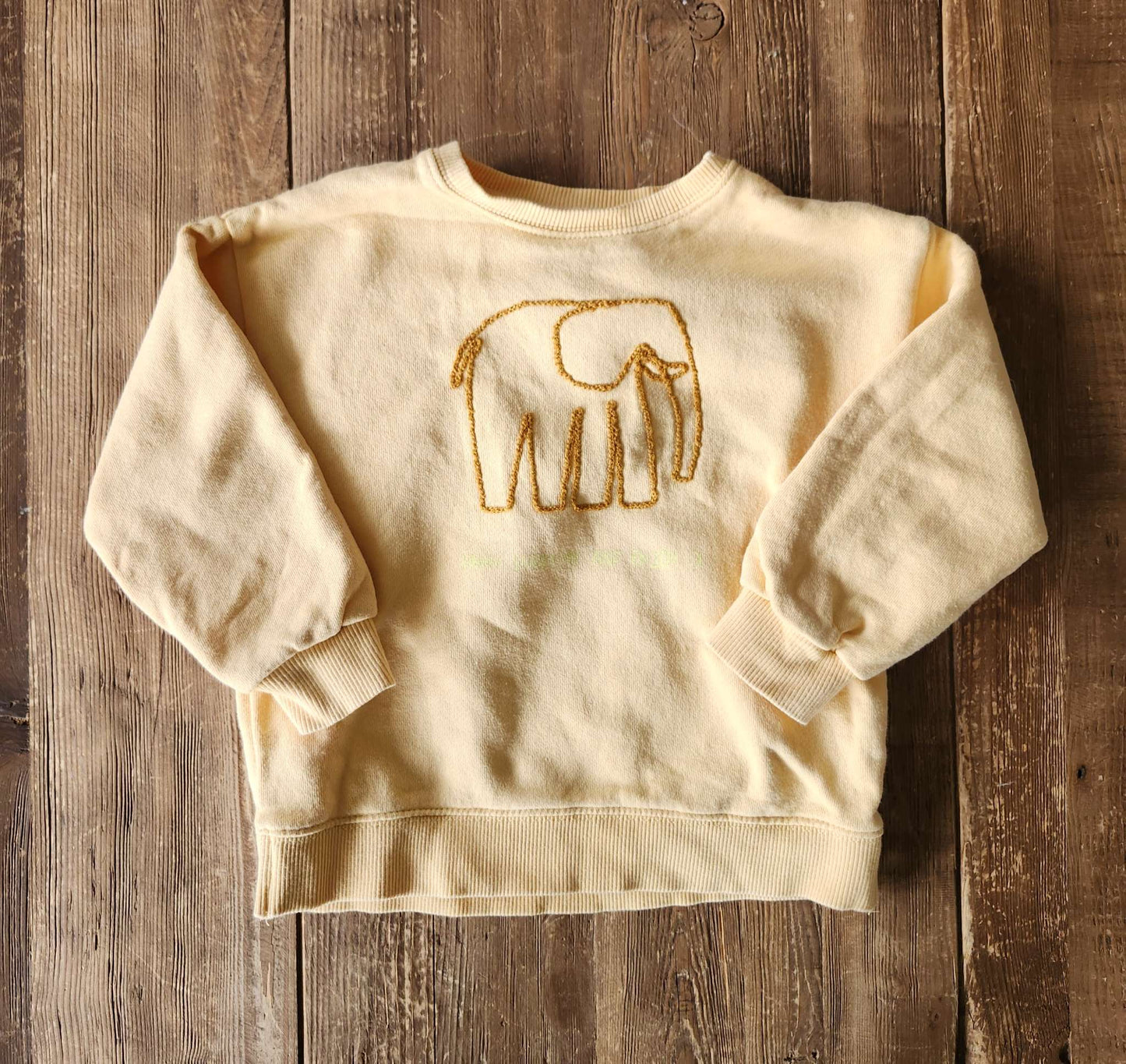 Zara elephant shirt, 2-3T, like new, Kids 2T