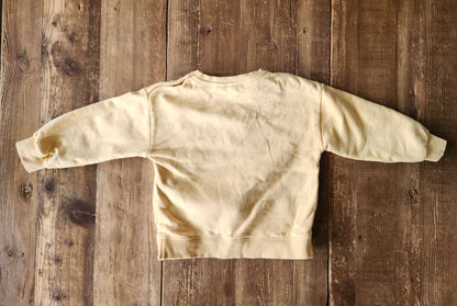 Zara elephant shirt, 2-3T, like new, Kids 2T