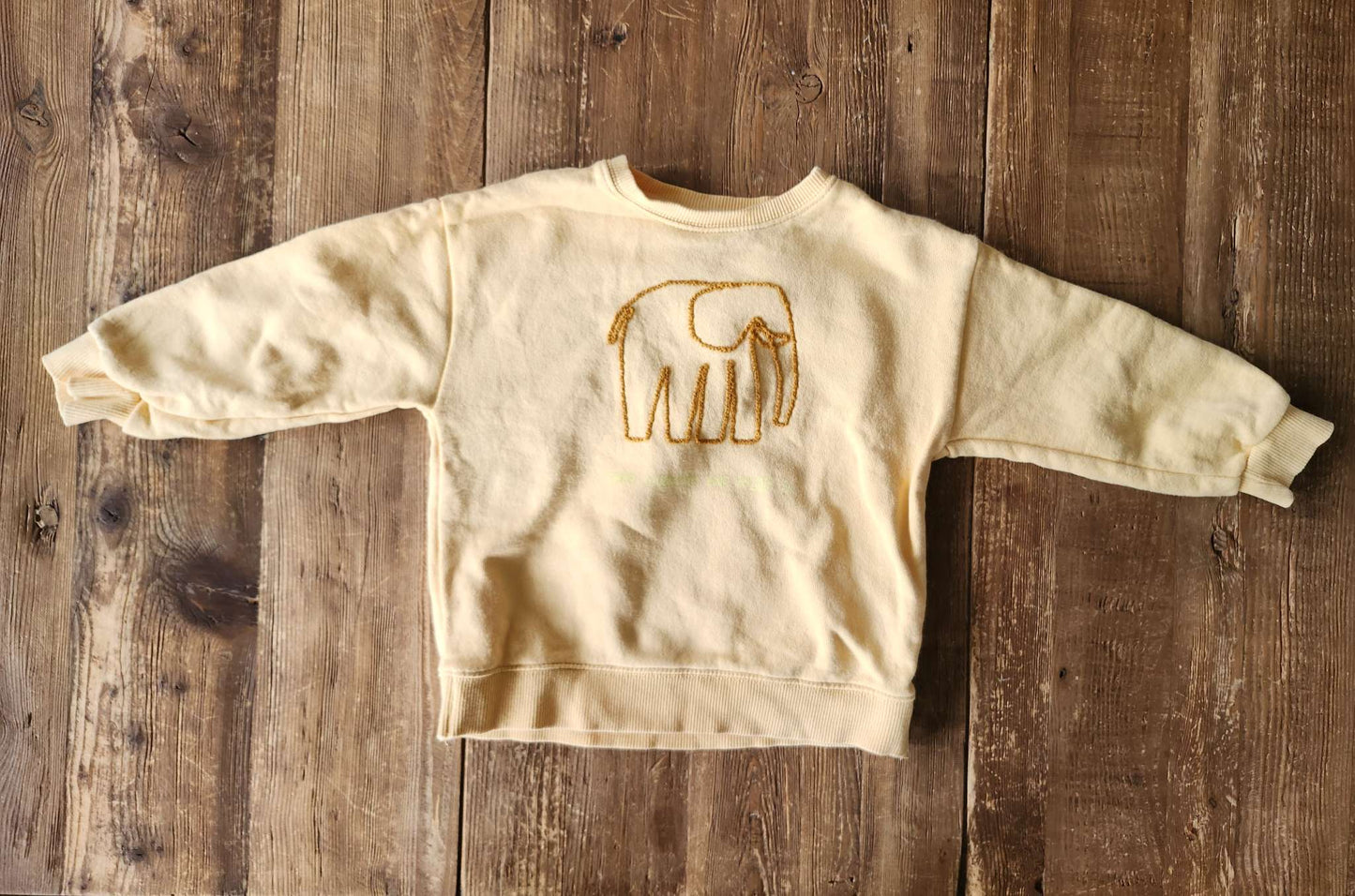 Zara elephant shirt, 2-3T, like new, Kids 2T
