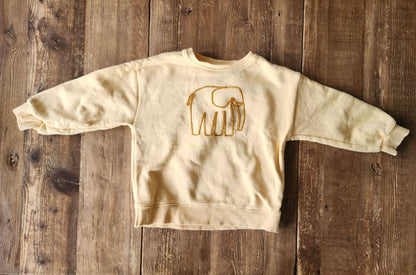 Zara elephant shirt, 2-3T, like new, Kids 2T