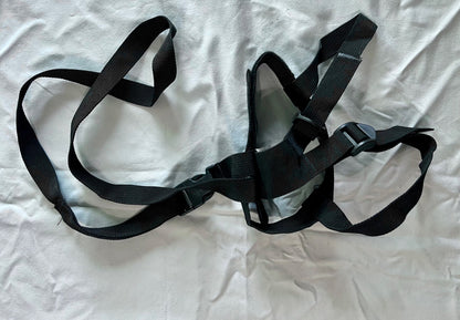 Diono Sure Steps toddler harness