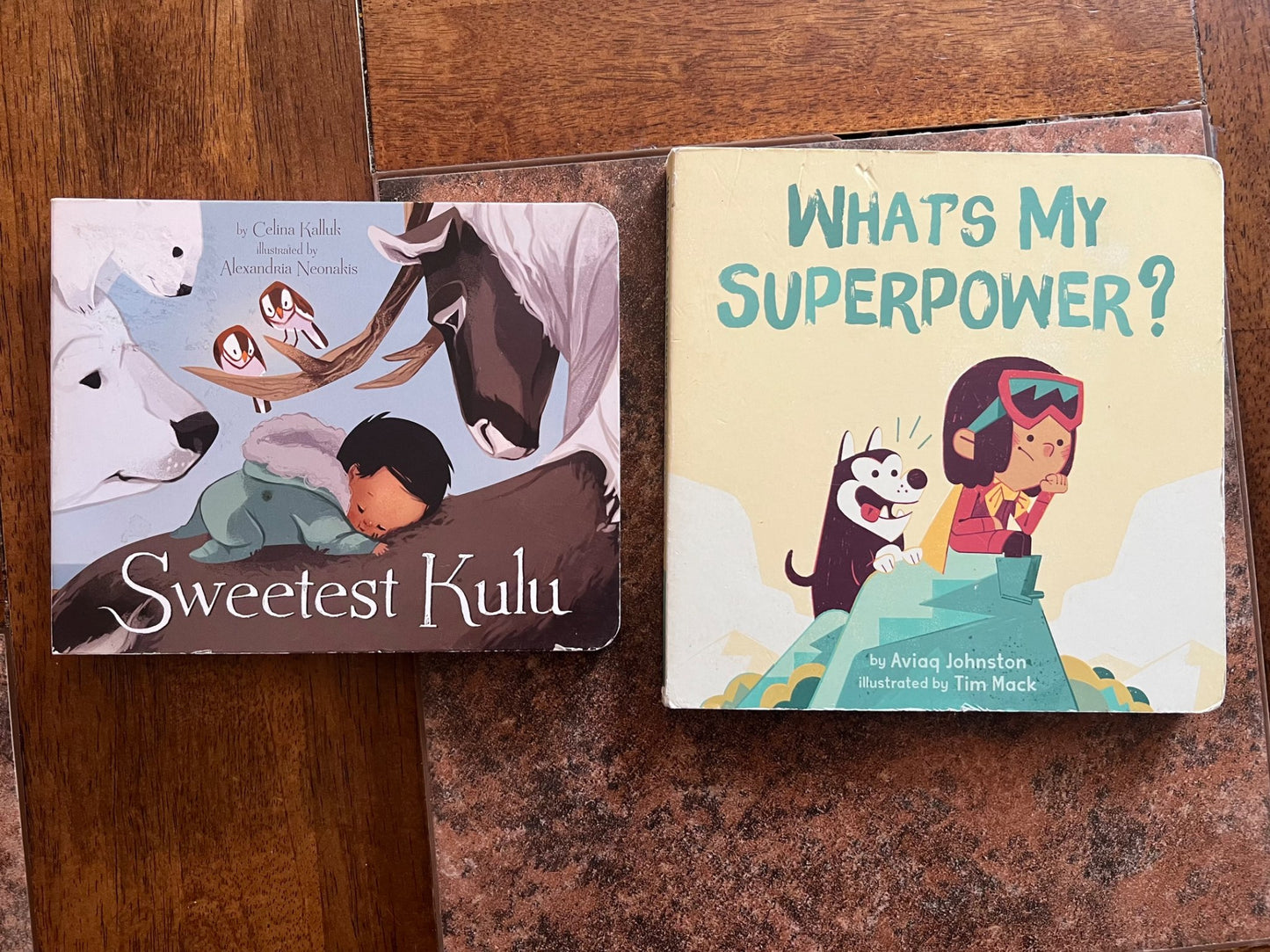 Indigenous board book bundle