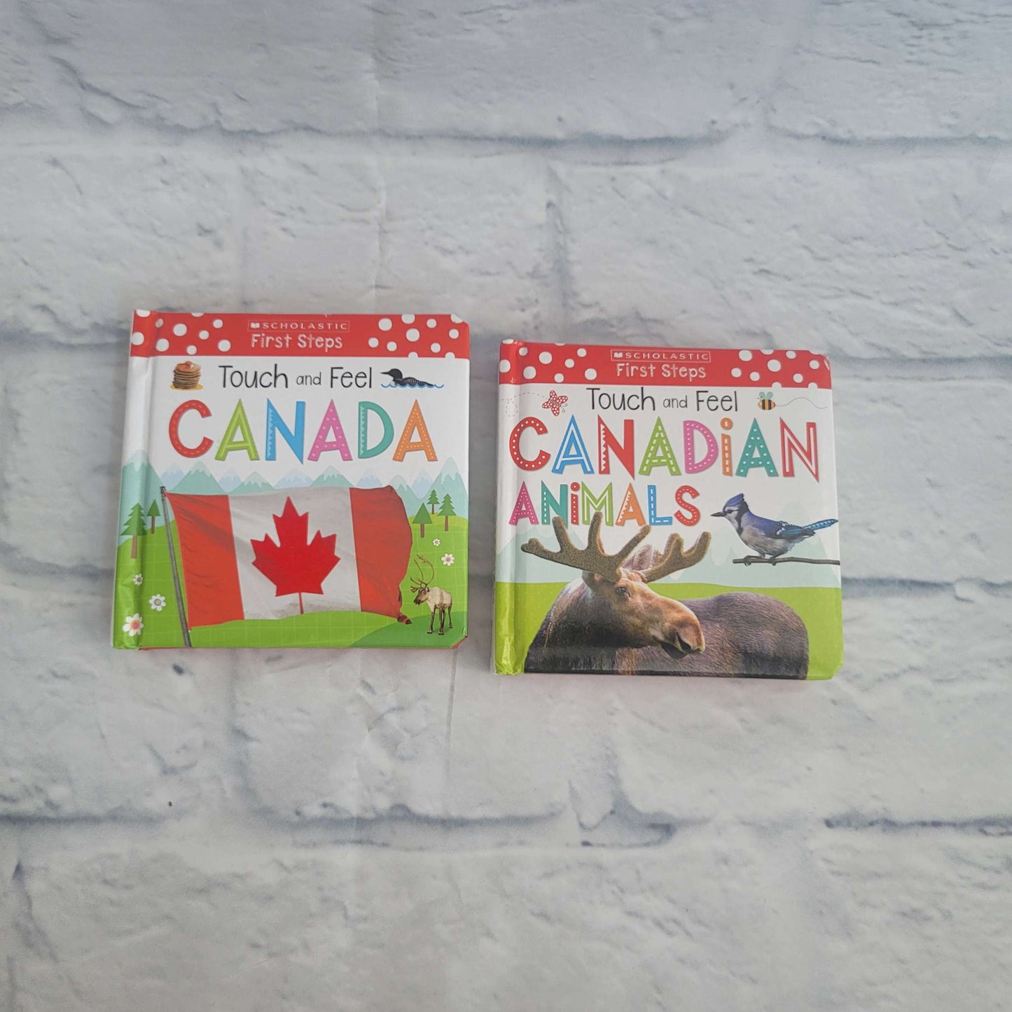 Touch and Feel Book Bundle: Canada and Canadian Animals, VGUC