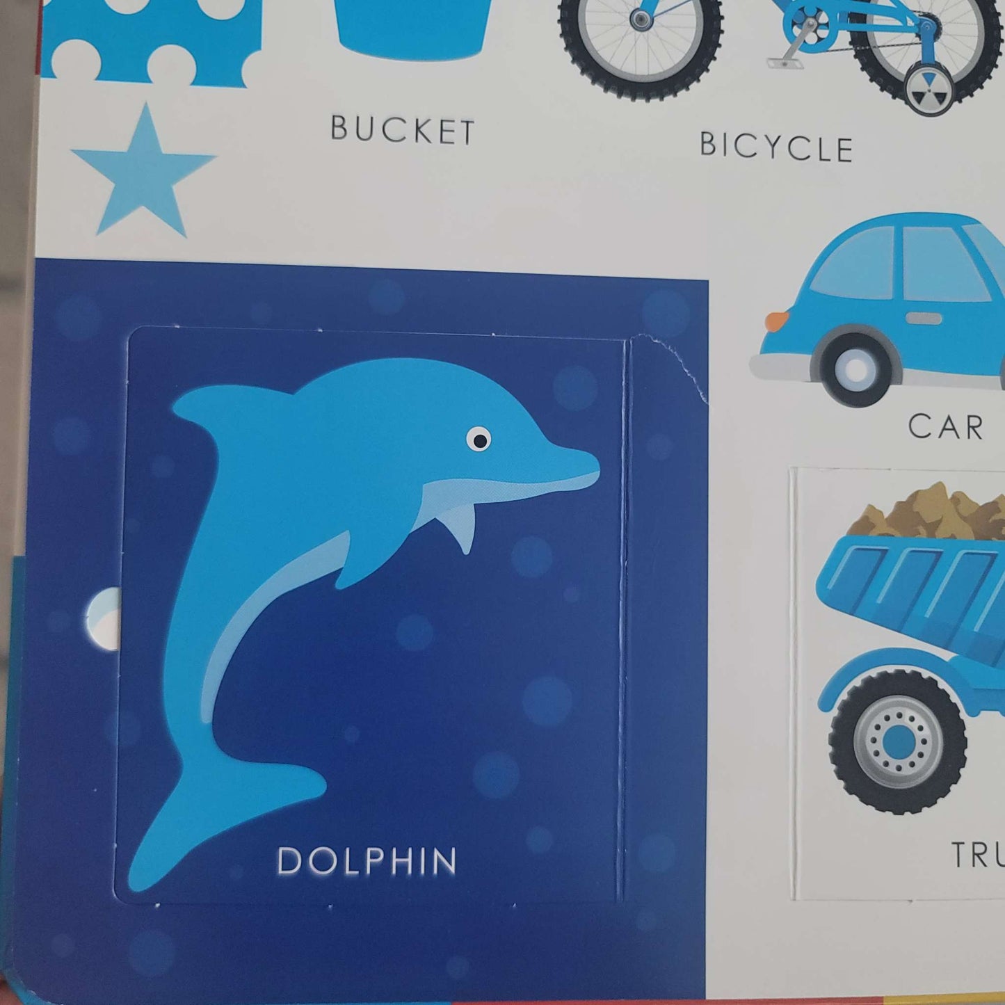 Lift-the-Flap Book Bundle: Red, Yellow, Blue and Learn About Animals, GUC