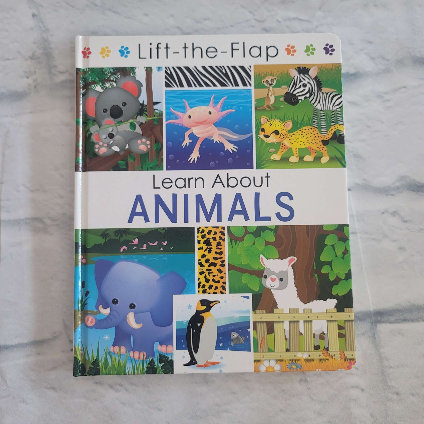 Lift-the-Flap Book Bundle: Red, Yellow, Blue and Learn About Animals, GUC