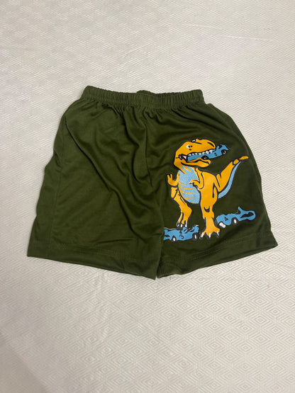 2-3T Shorts, Kids 2T