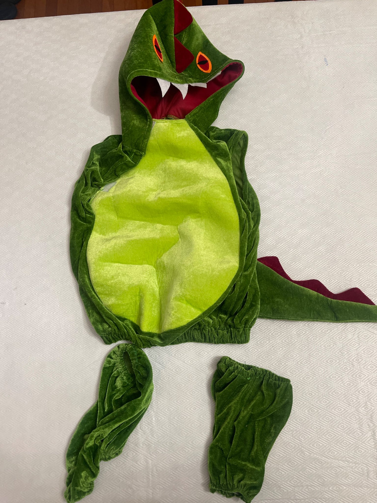 Hooded Dragon Costume, Kids 3T
