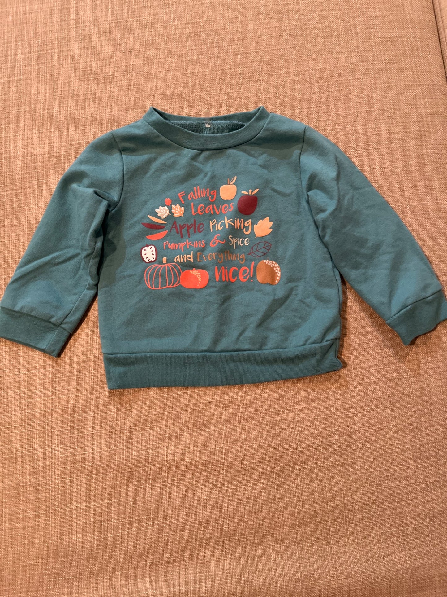 Cozy Fall Sweater , Kids 18 Month (12-18M)