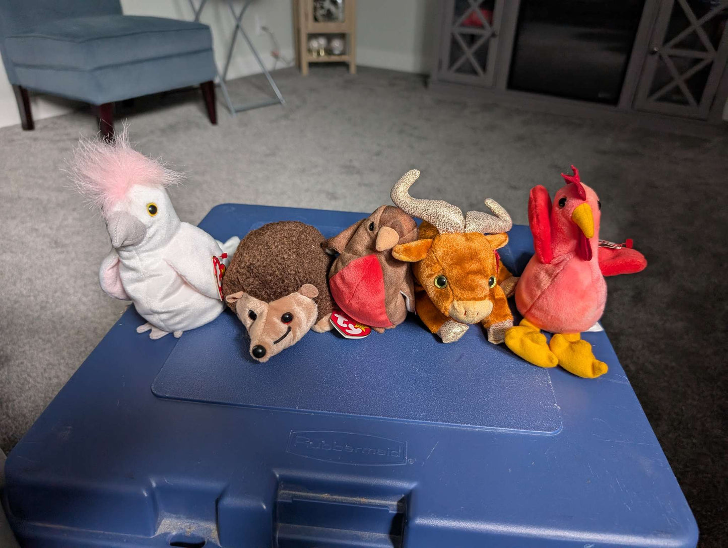 5 Beanie Babies