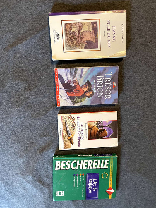 3 French Language Novels and a Bescherelle - Middle/High School Level