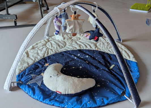 Skip Hop Celestial Dreams Activity Gym