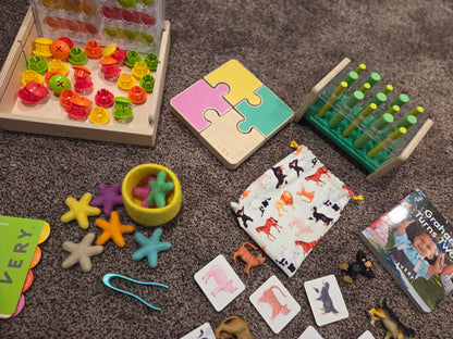 Lovevery Companion Play Kit (22 to 24+ Months)