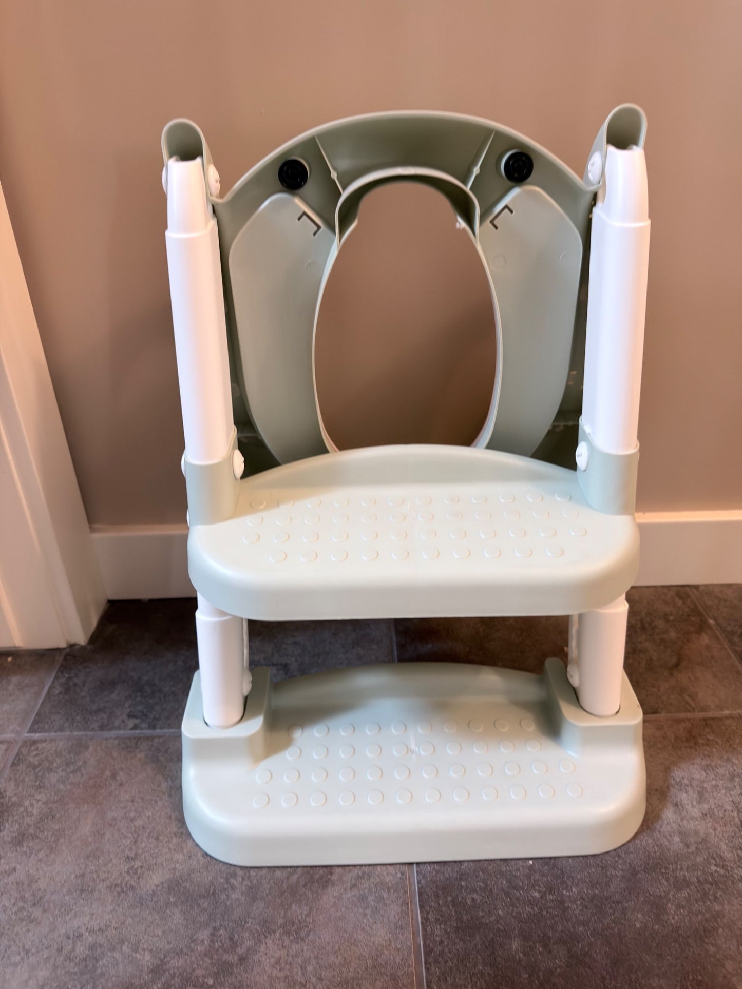Jool Baby Potty with steps
