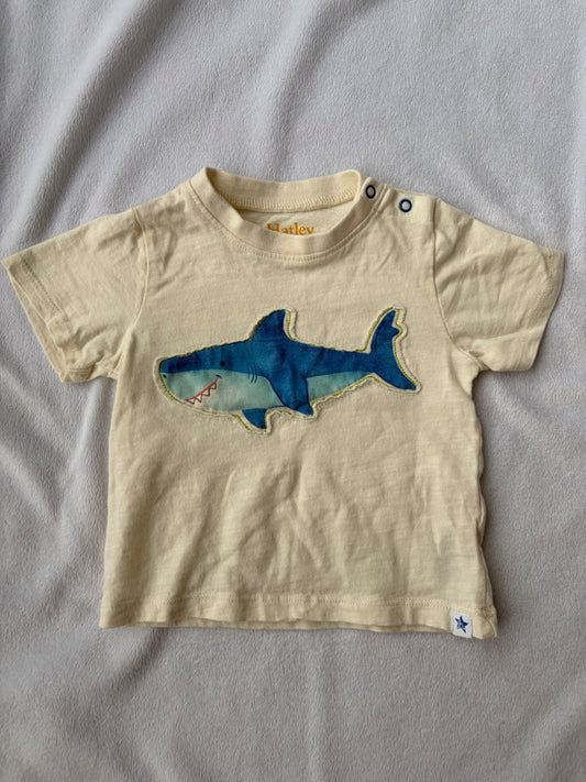 Boys Shark Tshirt, Kids 9 Month (6-9M)