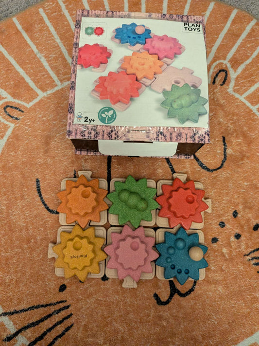 Eco friendly Gear Puzzle