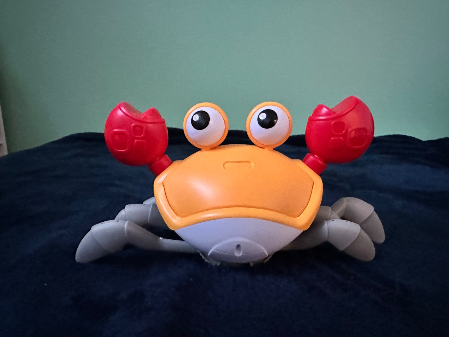 Walking Crab Sensory Toy
